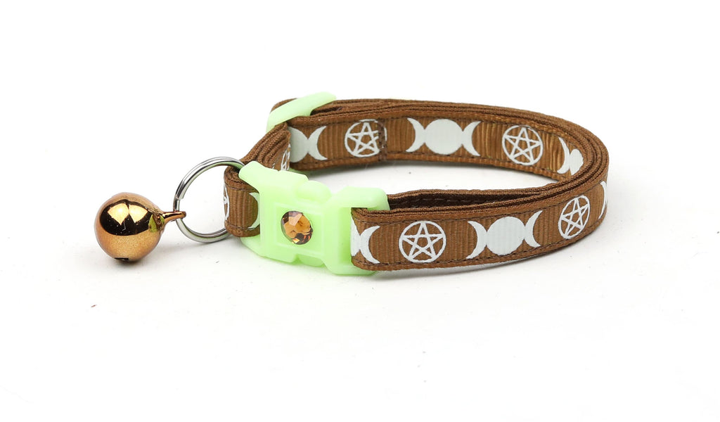 Witch's Familiar on Brown Cat Collar