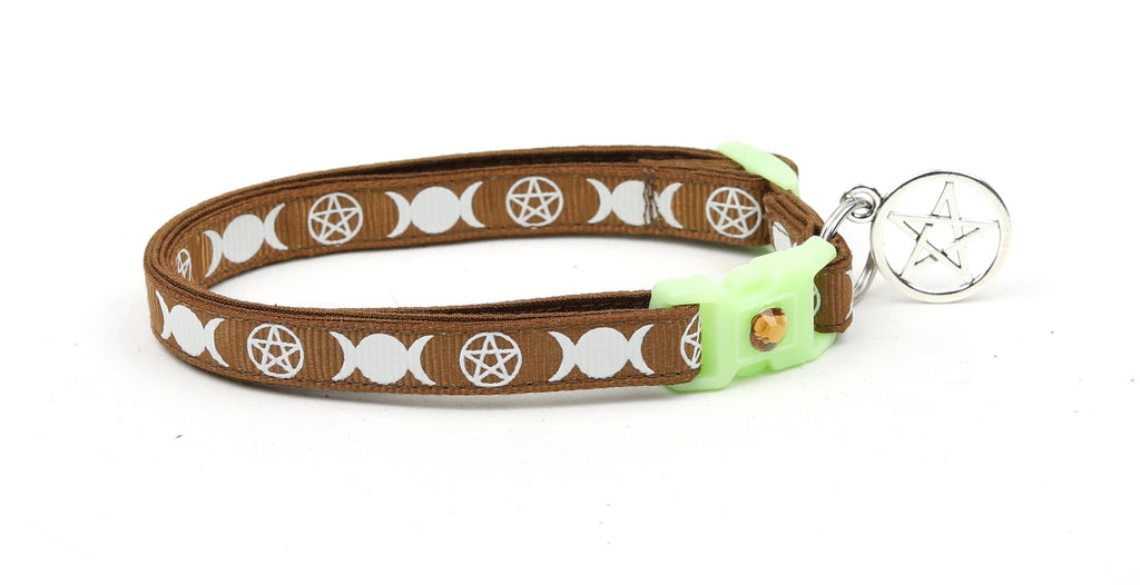 Witch's Familiar on Brown Cat Collar