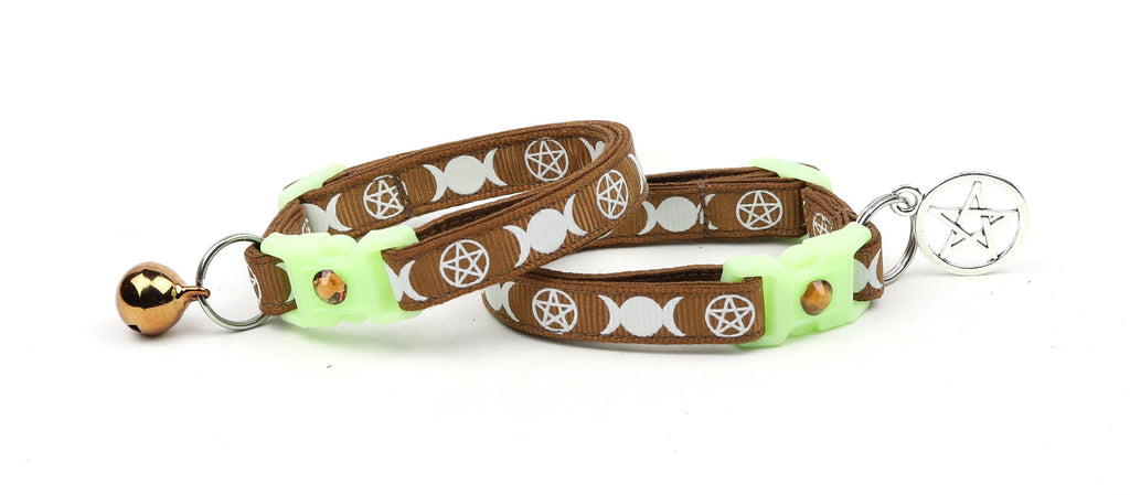 Witch's Familiar on Brown Cat Collar