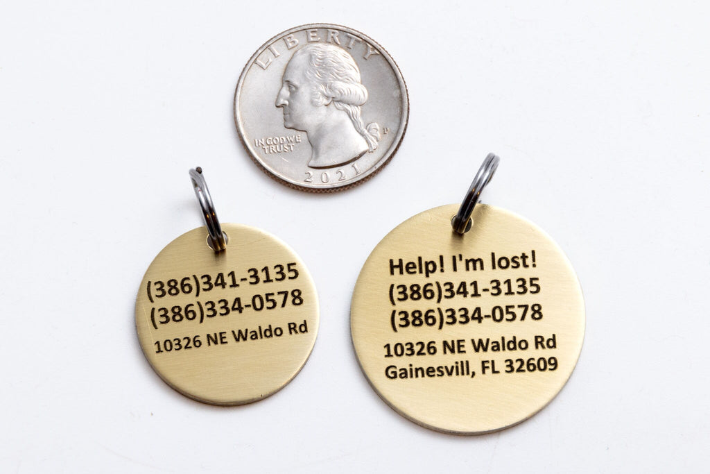 Engraved Greek Laurel Pet ID Tag - Cat or Dog Royal Purple and Gold Name Tag - Greek God Pet ID Tag